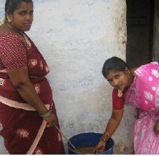 panchakavya